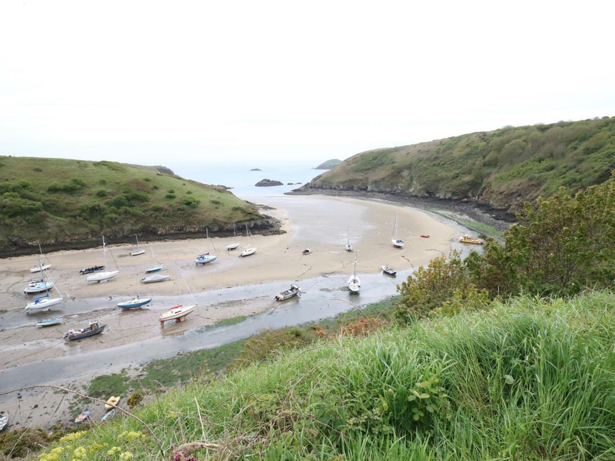 The Old Stables Villa Fishguard Bagian luar foto